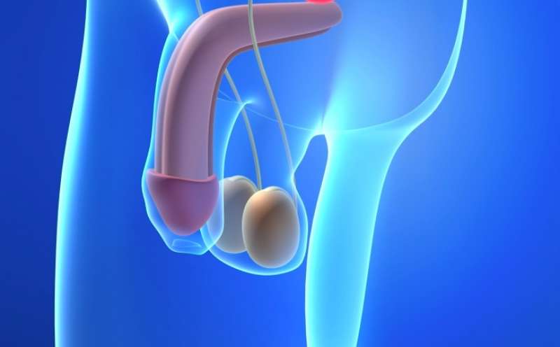 penis buyutme ameliyati